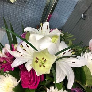 Meet your Posher, Jess